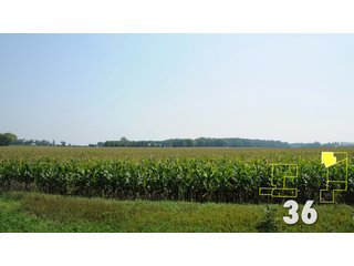 Property photo 135 - Land Auction - 3,379 Acres in 48 Tracts, 2,900 Acres Tillable, Large Contiguous Tracts - Investment Potential